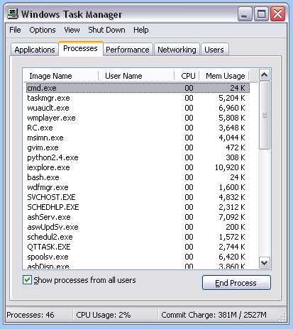 TaskManager Process view